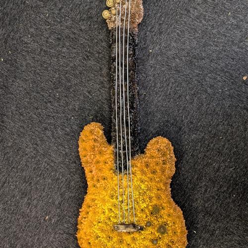 Guitar Musical Tribute