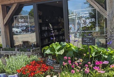 Click and collect flowers from The Flower Shop