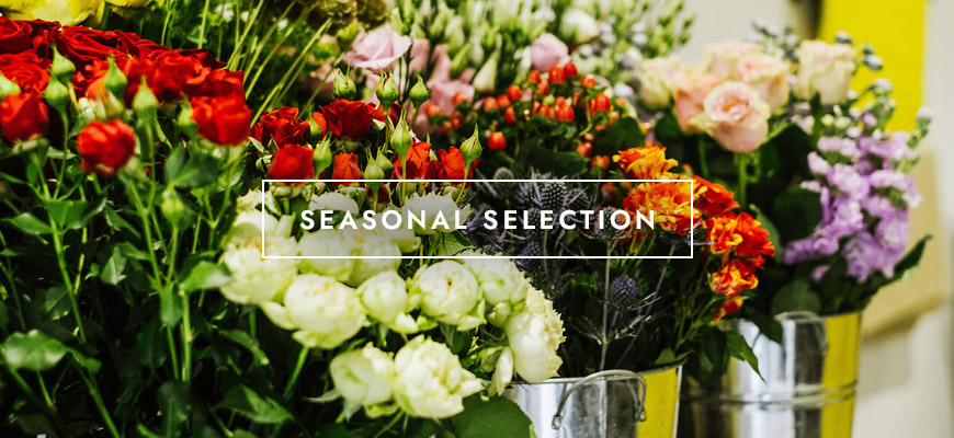 The Flower Shop Kersey Mill seasonal flower collection